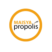 maisya-box (2)